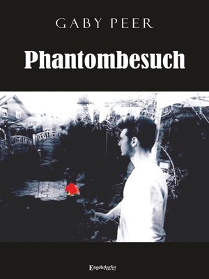 cover image of Phantombesuch